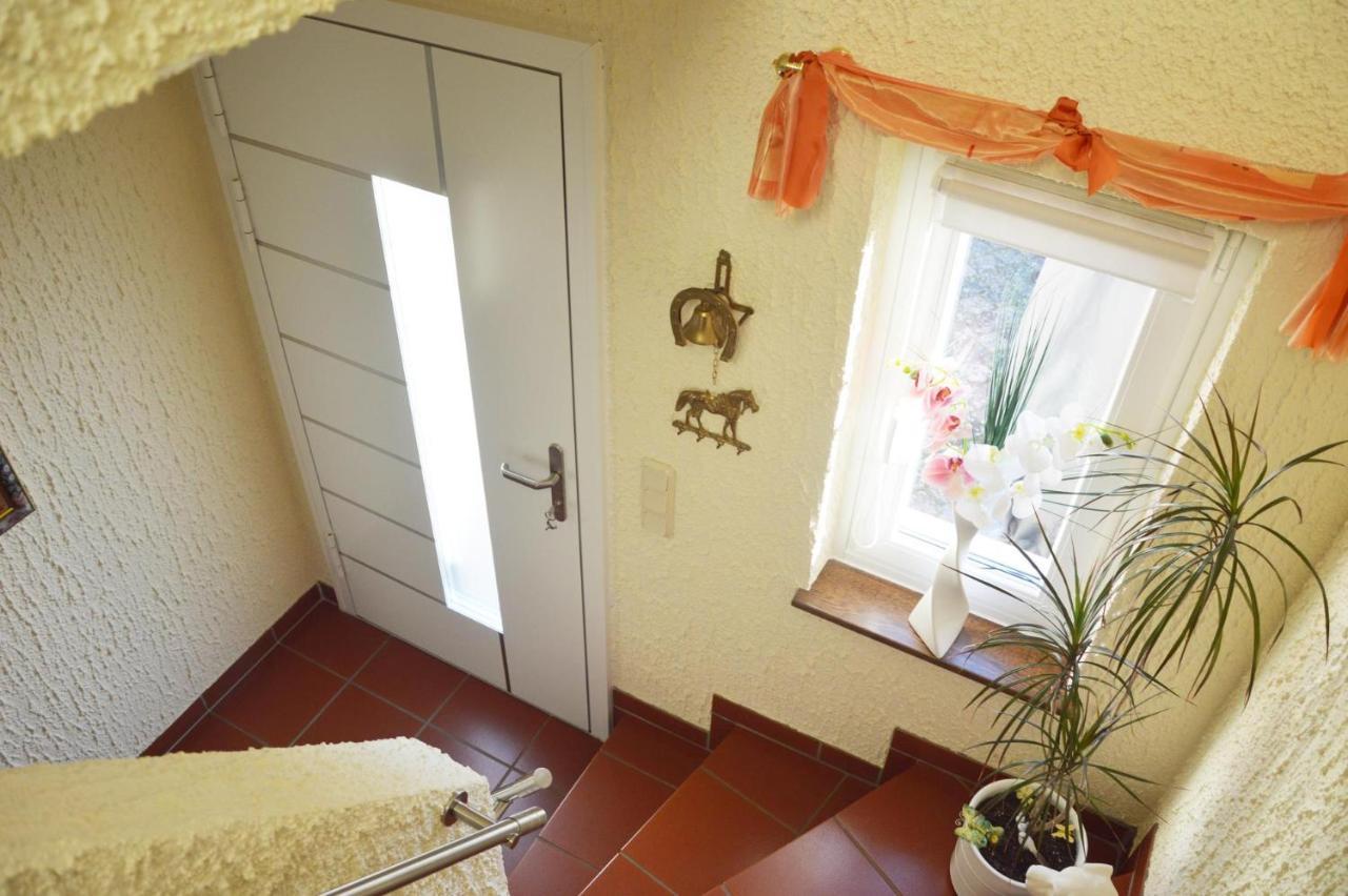 Ferienwohnung Auszeit Waxweiler Екстериор снимка